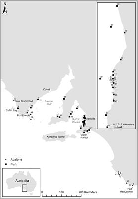 Marine Heatwave, Harmful Algae Blooms and an Extensive Fish Kill Event During 2013 in South Australia